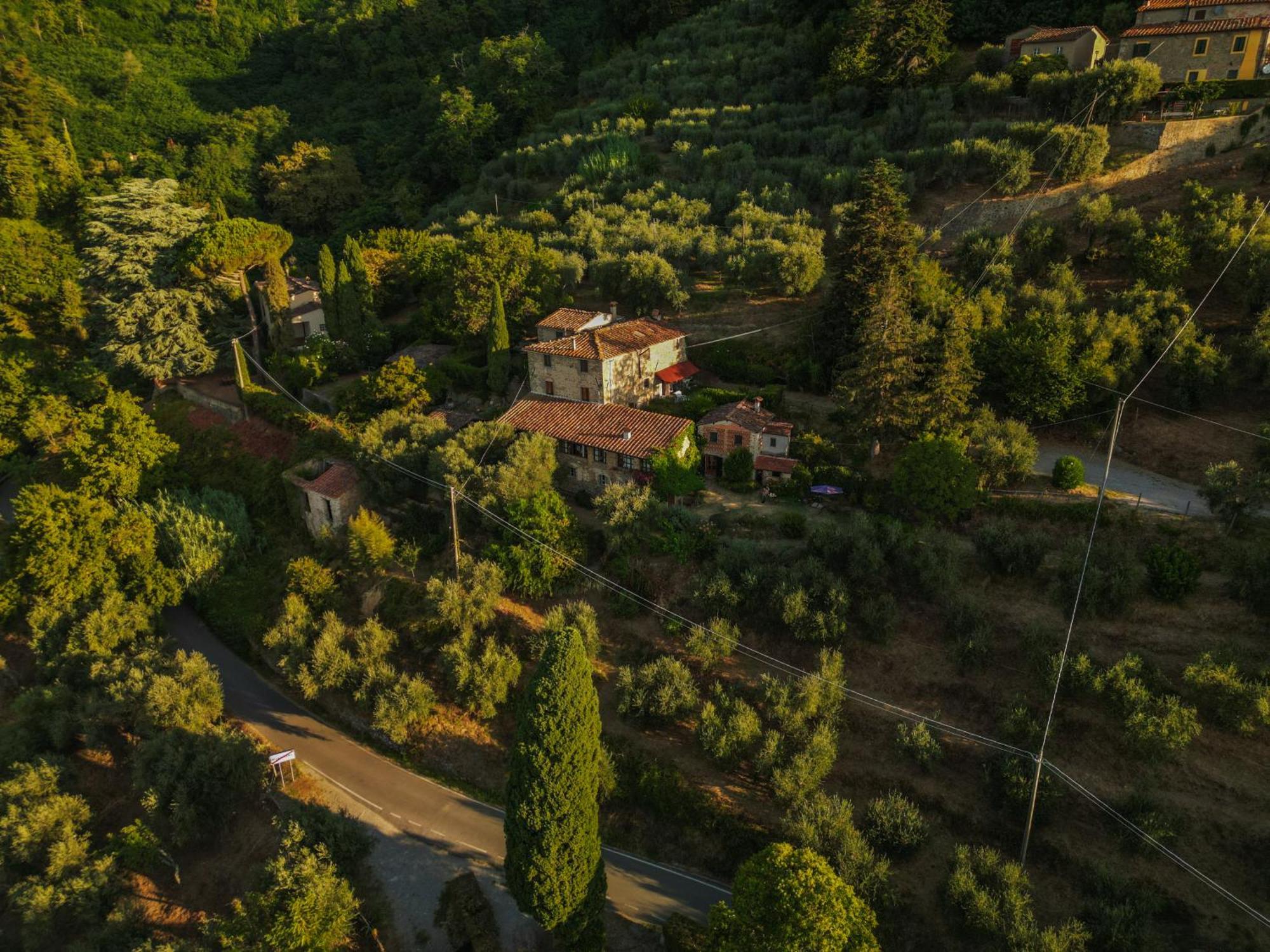 Orto Dei Bruchi Appartement Collodi Buitenkant foto