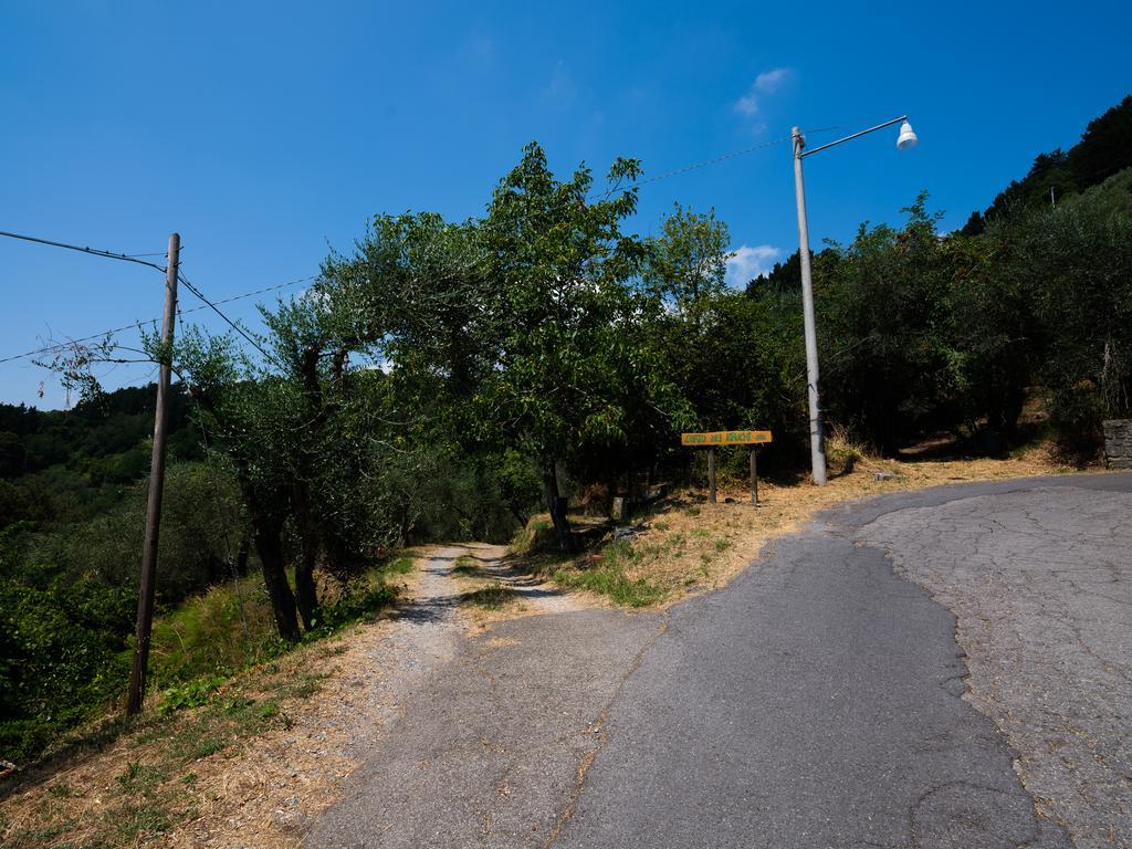 Orto Dei Bruchi Appartement Collodi Buitenkant foto